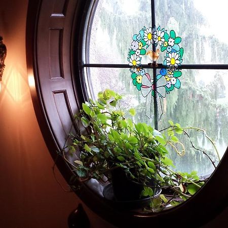 Kocsis Panzio Es Etterem Bed & Breakfast Komárom Exterior foto